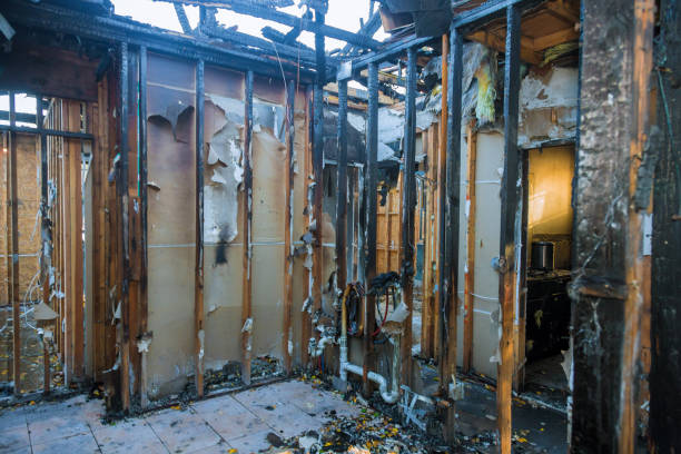 Professional Emergency Fire Cleanup technician working in Walnut Hill, TN